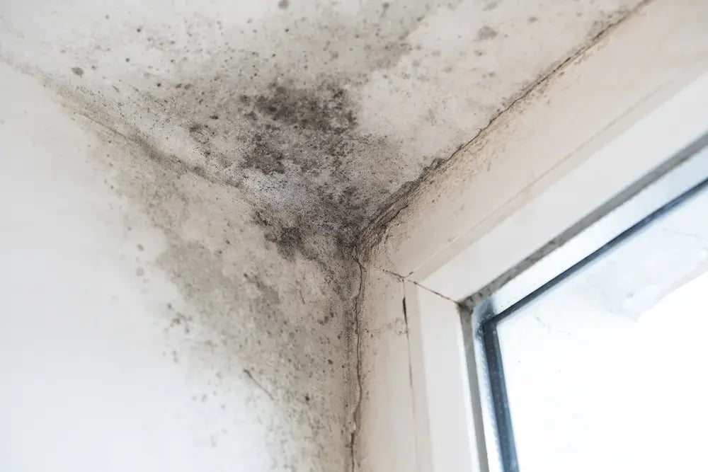 The-importance-of-adequate-ventilation-for-quality-of-life